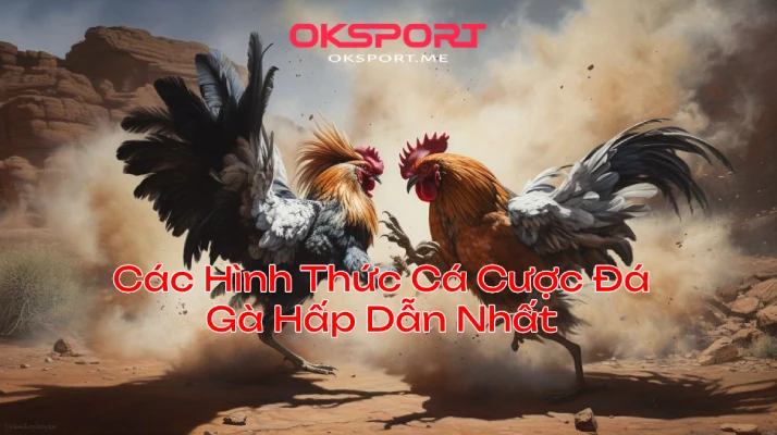 Các Hình Thức Cá Cược Đá Gà OKSport Hấp Dẫn Nhất OKSport Sân Chơi Cá Cược Uy Tín Hàng Đầu Các Hình Thức Cá Cược Đá Gà OKsport Hấp Dẫn Nhất