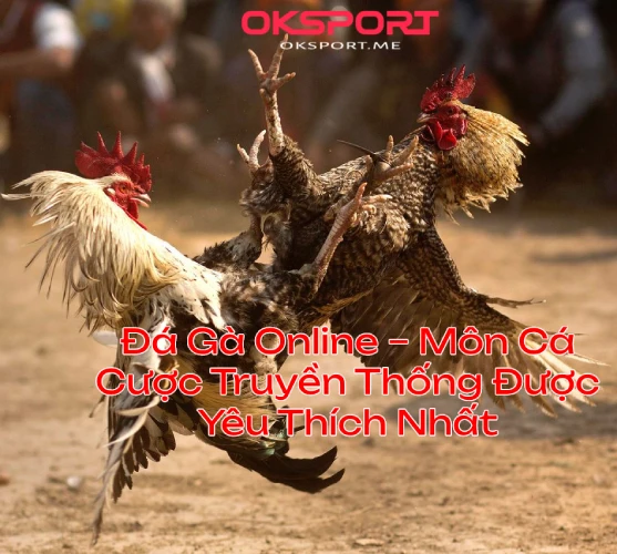 dagaoksportyeuthichhangdau OKSport Sân Chơi Cá Cược Uy Tín Hàng Đầu Xổ Số OKSport Đặt Cược Ngay Cơ Hội Trúng Lớn Mỗi Ngày