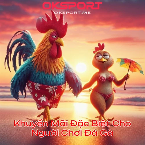 khuyenmaidagaoksport OKSport Sân Chơi Cá Cược Uy Tín Hàng Đầu Khuyến Mãi Đặc Biệt Cho Người Chơi Đá Gà OKSport